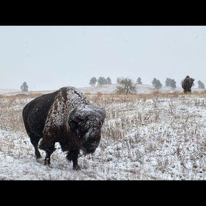 Mystery Box Vintage or Non Vintage for women